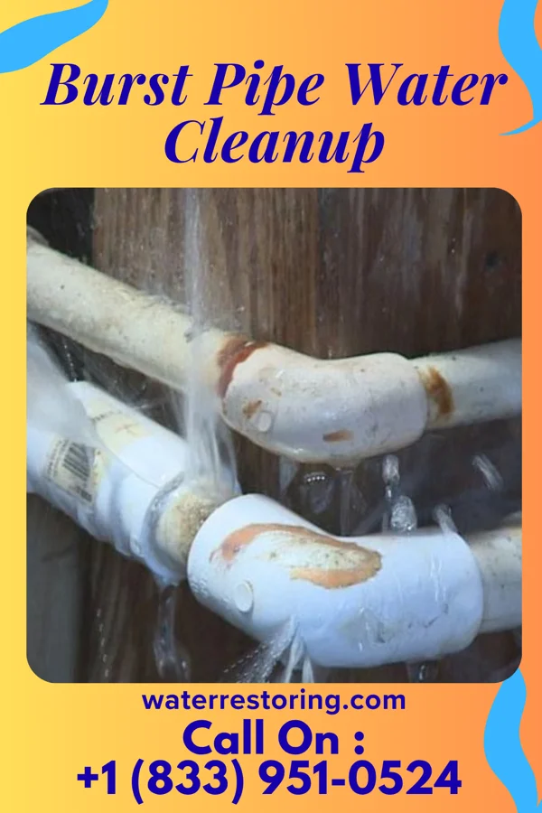 Burst Pipe Water Cleanup in Powhatan Point, OH