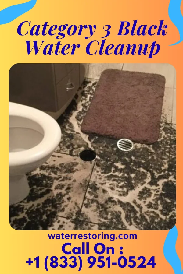 Category 3 Black Water Cleanup in Powhatan Point, OH