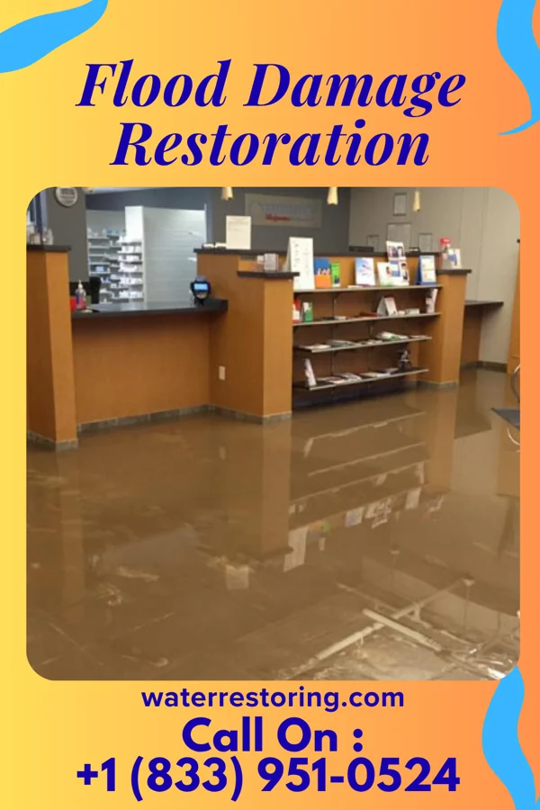 Flood Damage Restoration in Powhatan Point, OH